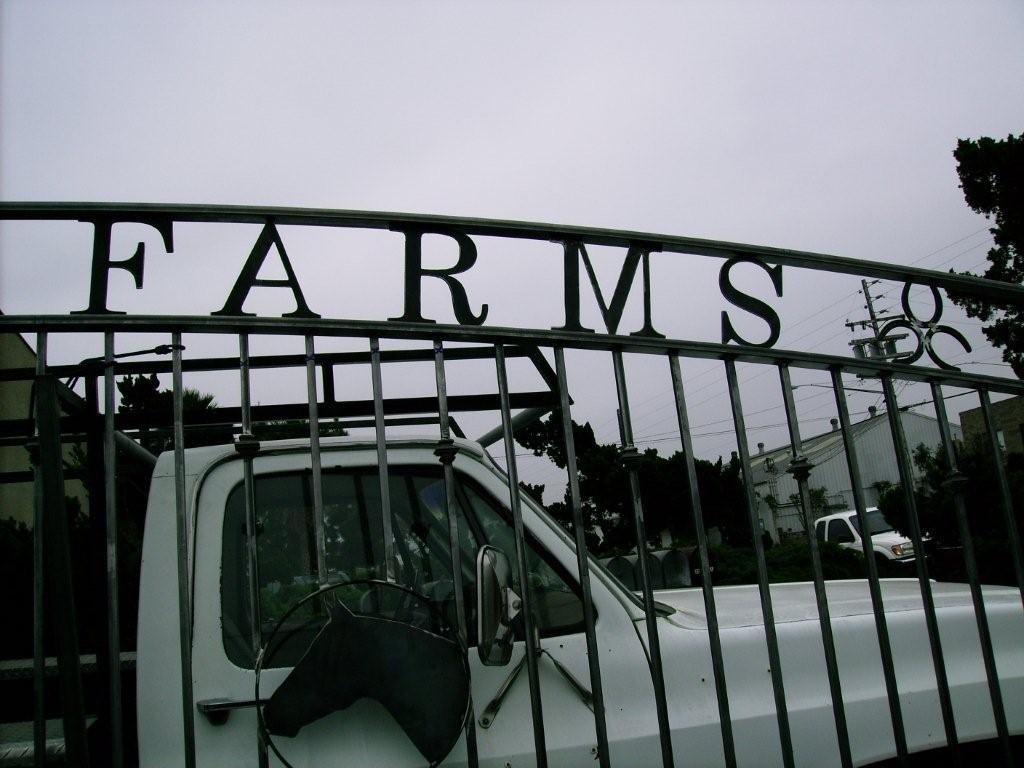sdiron_drivewaygates_011.JPG